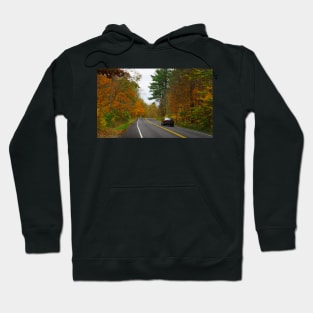 Autumn road trees with colored  foliage Hoodie